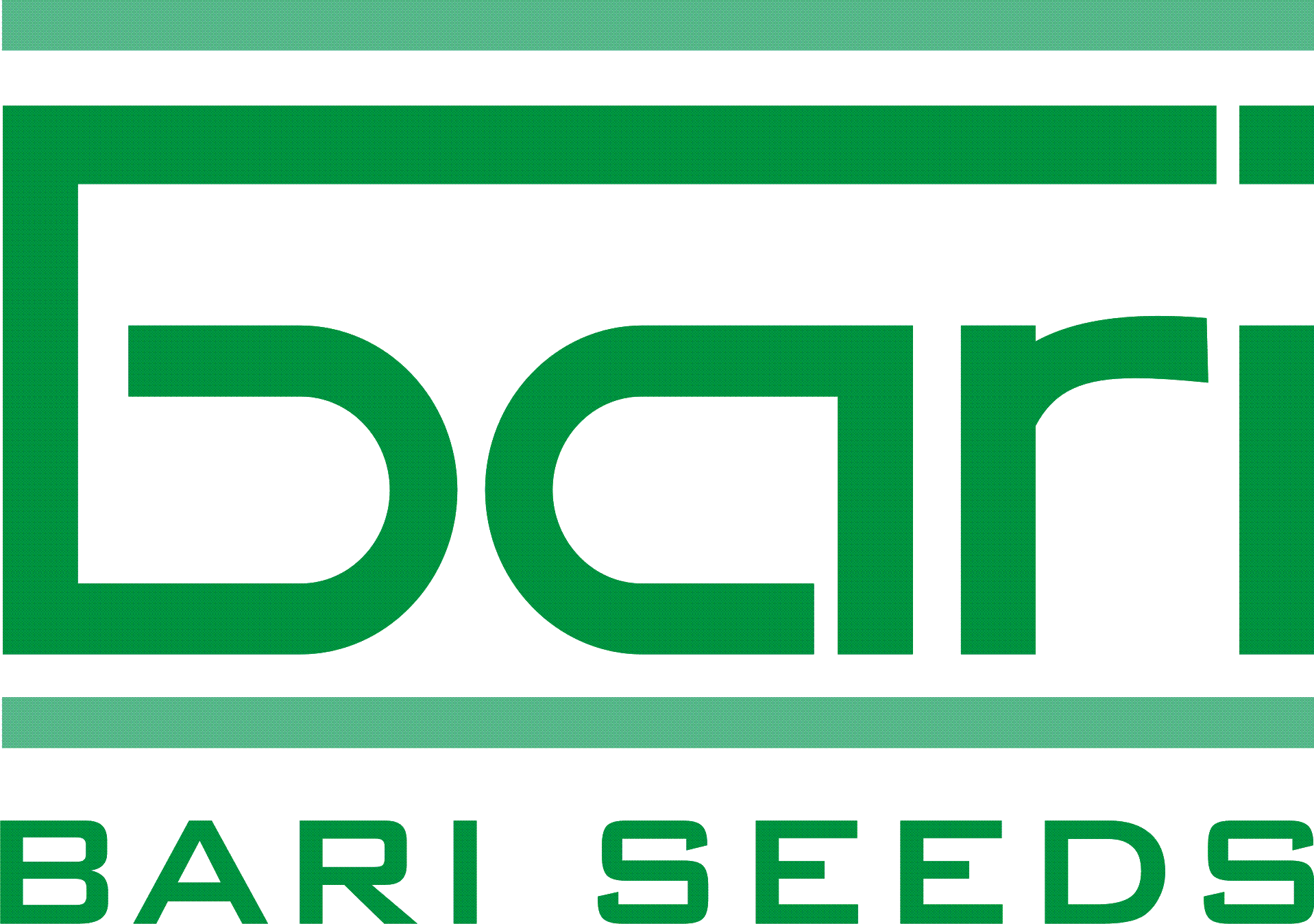 blacksmith blacksmith